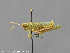  ( - CSU_ENT0064668)  @11 [ ] Unspecified (default): All Rights Reserved  Unspecified Unspecified