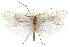  ( - CSUPOBK-0723)  @13 [ ] CreativeCommons - Attribution (2010) CBG Photography Group Centre for Biodiversity Genomics