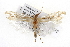  ( - CSUPOBK-0745)  @13 [ ] CreativeCommons - Attribution (2010) CBG Photography Group Centre for Biodiversity Genomics