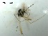  (Microtendipes nigrithorax - CH410)  @11 [ ] Unspecified (default): All Rights Reserved (2019) Chao Song Nankai University
