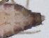  ( - FAP3ST-DAB03-030)  @11 [ ] CreativeCommons - Attribution Share-Alike (2019) University of Guelph, Hanner Laboratory My Institution
