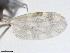  ( - FAP3ST-DAB03-030)  @11 [ ] CreativeCommons - Attribution Share-Alike (2019) University of Guelph, Hanner Laboratory My Institution