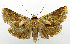  ( - CCDB-39378-B07)  @11 [ ] CreativeCommons - Attribution Share-Alike (2023) Unspecified Smithsonian Institution, National Museum of Natural History