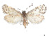  ( - CCDB-39378-C03)  @11 [ ] CreativeCommons - Attribution Share - Alike (2023) CBG Photography Group Centre for Biodiversity Genomics