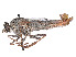  ( - CCDB-45177-B03)  @11 [ ] CreativeCommons - Attribution Share - Alike (2023) CBG Photography Group Centre for Biodiversity Genomics