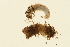  ( - 09CUTLV-188)  @13 [ ] CreativeCommons - Attribution (2009) Unspecified Centre for Biodiversity Genomics