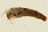  ( - 09CUTLV-454)  @13 [ ] CreativeCommons - Attribution (2009) Unspecified Centre for Biodiversity Genomics