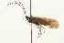  ( - 09CUTRI-061)  @13 [ ] CreativeCommons - Attribution (2009) Unspecified Centre for Biodiversity Genomics