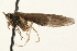  ( - 09CUTRI-067)  @13 [ ] CreativeCommons - Attribution (2009) Unspecified Centre for Biodiversity Genomics