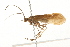  ( - 09CUTRI-072)  @13 [ ] CreativeCommons - Attribution (2009) Unspecified Centre for Biodiversity Genomics