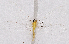  ( - CX23401)  @11 [ ] c (2020) Xingyue Liu Entomological Museum of China Agricultural University (CAU), Beijing