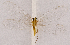  ( - CX31802)  @11 [ ] c (2020) Xingyue Liu Entomological Museum of China Agricultural University (CAU), Beijing