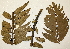  ( - PR675)  @11 [ ] No Rights Reserved  Unspecified Unspecified