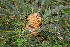  ( - PR680)  @11 [ ] Unspecified (default): All Rights Reserved  Unspecified Unspecified