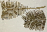  ( - PR696)  @11 [ ] No Rights Reserved  Unspecified Unspecified