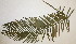  ( - PR703)  @11 [ ] No Rights Reserved  Unspecified Unspecified