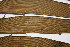  ( - PR710)  @11 [ ] No Rights Reserved  Unspecified Unspecified