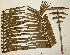  ( - PR710)  @11 [ ] No Rights Reserved  Unspecified Unspecified