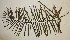  ( - PR717)  @11 [ ] No Rights Reserved  Unspecified Unspecified