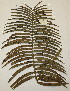  ( - PR724)  @11 [ ] No Rights Reserved  Unspecified Unspecified