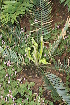 ( - PR799)  @11 [ ] Unspecified (default): All Rights Reserved  Unspecified Unspecified