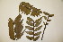  ( - PR848)  @11 [ ] No Rights Reserved  Unspecified Unspecified