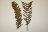  ( - PR867)  @11 [ ] No Rights Reserved  Unspecified Unspecified