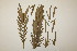  ( - PR869)  @11 [ ] No Rights Reserved  Unspecified Unspecified