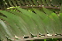  ( - PR675)  @11 [ ] Unspecified (default): All Rights Reserved  Unspecified Unspecified