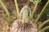  ( - PR696)  @11 [ ] Unspecified (default): All Rights Reserved  Unspecified Unspecified