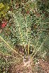  ( - PR696)  @11 [ ] Unspecified (default): All Rights Reserved  Unspecified Unspecified