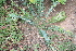  ( - PR703)  @11 [ ] Unspecified (default): All Rights Reserved  Unspecified Unspecified