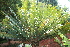 ( - PR710)  @11 [ ] Unspecified (default): All Rights Reserved  Unspecified Unspecified