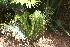  ( - PR717)  @11 [ ] Unspecified (default): All Rights Reserved  Unspecified Unspecified