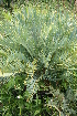  ( - PR787)  @11 [ ] Unspecified (default): All Rights Reserved  Unspecified Unspecified