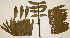  ( - PR763)  @11 [ ] No Rights Reserved  Unspecified Unspecified