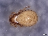  ( - CcR101_1)  @11 [ ] Copyright (2018) Kerschbaumer University of Graz, Dept. of Biology