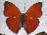  ( - DK001)  @13 [ ] Unspecified (default): All Rights Reserved  Unspecified Unspecified