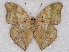  ( - ABRI_001)  @11 [ ] Unspecified (default): All Rights Reserved  Unspecified Unspecified