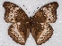  ( - ABRI_002)  @11 [ ] Unspecified (default): All Rights Reserved  Unspecified Unspecified