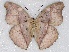  ( - ABRI_002)  @11 [ ] Unspecified (default): All Rights Reserved  Unspecified Unspecified