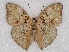  ( - ABRI_003)  @14 [ ] Unspecified (default): All Rights Reserved  Unspecified Unspecified