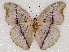  ( - ABRI_004)  @11 [ ] Unspecified (default): All Rights Reserved  Unspecified Unspecified