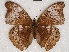  ( - ABRI_005)  @11 [ ] Unspecified (default): All Rights Reserved  Unspecified Unspecified