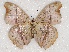  ( - ABRI_005)  @11 [ ] Unspecified (default): All Rights Reserved  Unspecified Unspecified