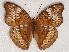  ( - ABRI_006)  @11 [ ] Unspecified (default): All Rights Reserved  Unspecified Unspecified