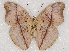  ( - ABRI_006)  @11 [ ] Unspecified (default): All Rights Reserved  Unspecified Unspecified
