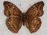  ( - ABRI_011)  @11 [ ] Unspecified (default): All Rights Reserved  Unspecified Unspecified