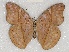  ( - ABRI_011)  @11 [ ] Unspecified (default): All Rights Reserved  Unspecified Unspecified