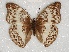  ( - ABRI_012)  @11 [ ] Unspecified (default): All Rights Reserved  Unspecified Unspecified